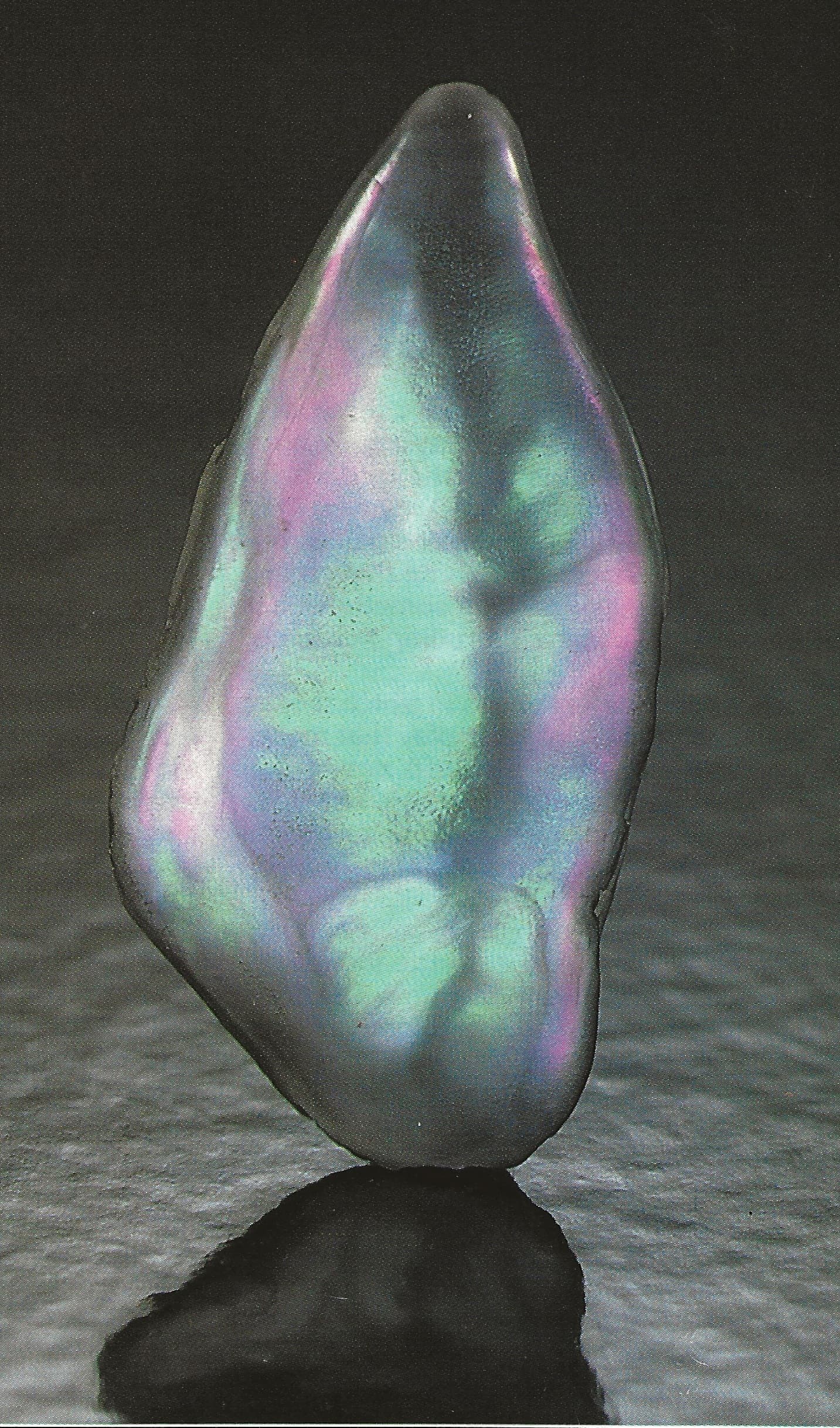 Abalone Pearl