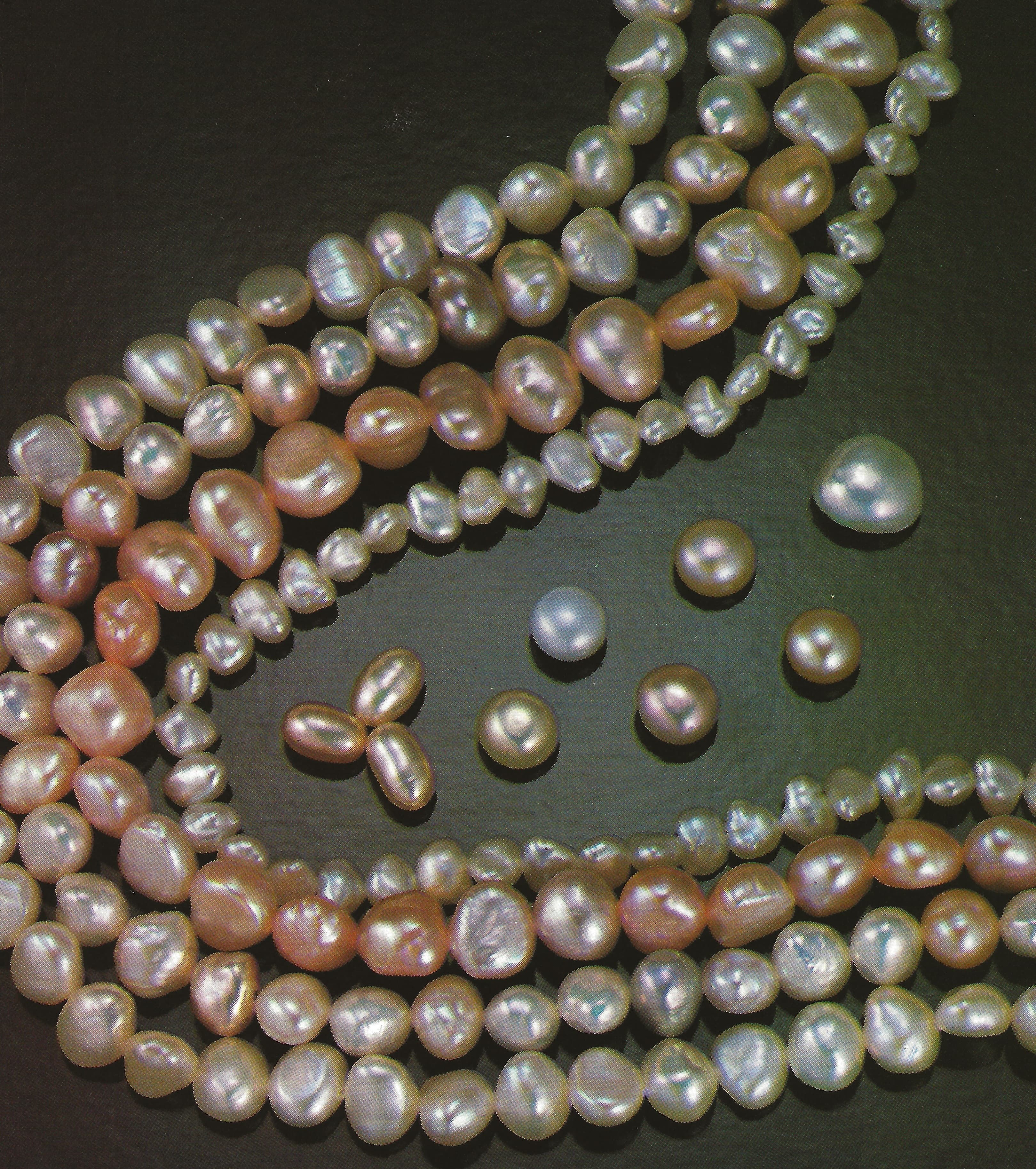 Chinese Freshwater Pearls