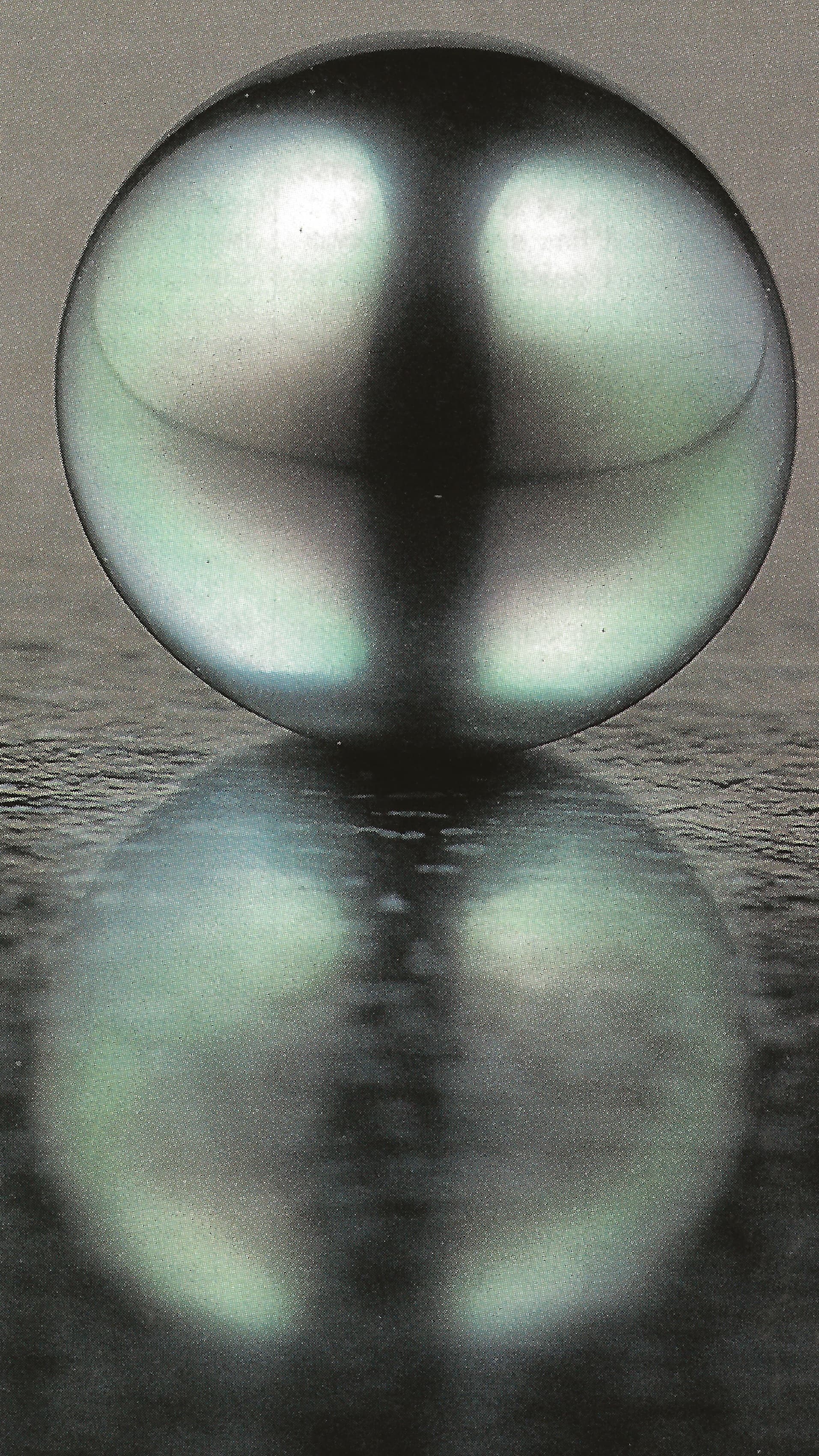 Tahitian Black Pearl