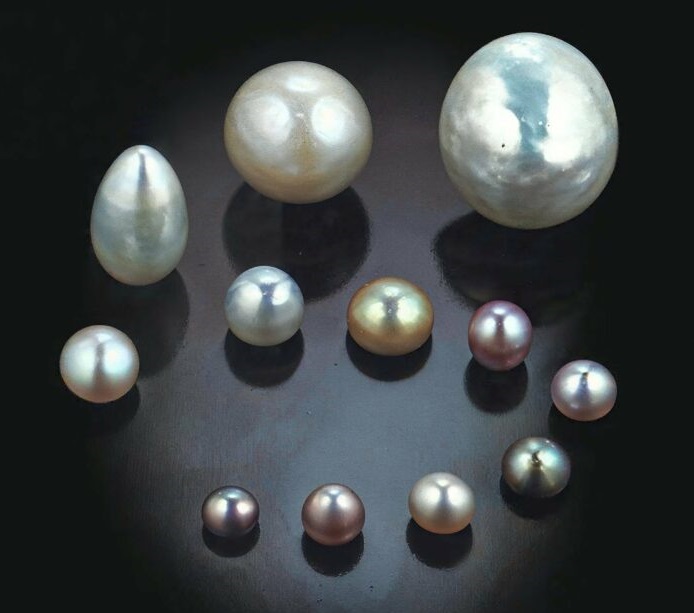 American Freshwater Pearl